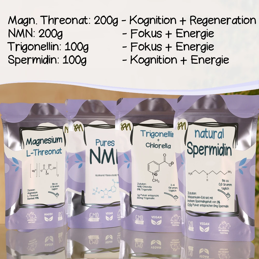 Bild zu uploads/Kognition_and_fokus_gross.webp