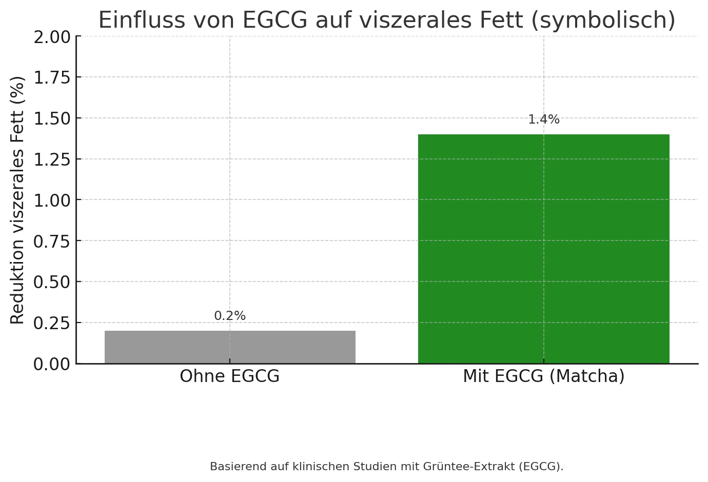 egcg viszeralfett fettverbrennung mit matcha bzw egcg